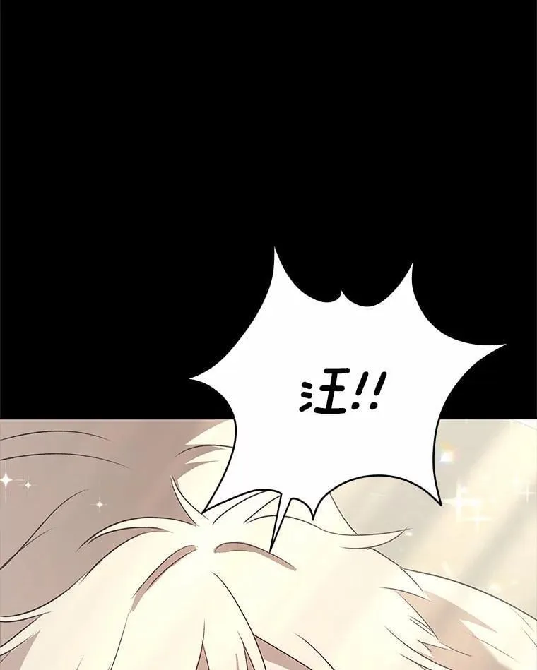 56.你好？兽医先生！12
