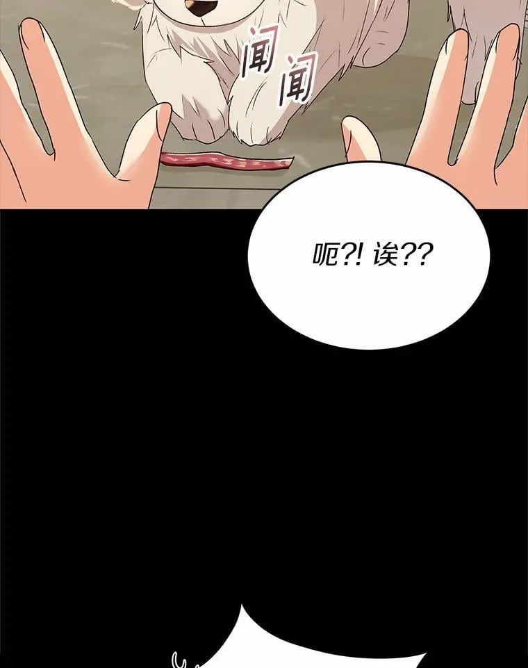 56.你好？兽医先生！4