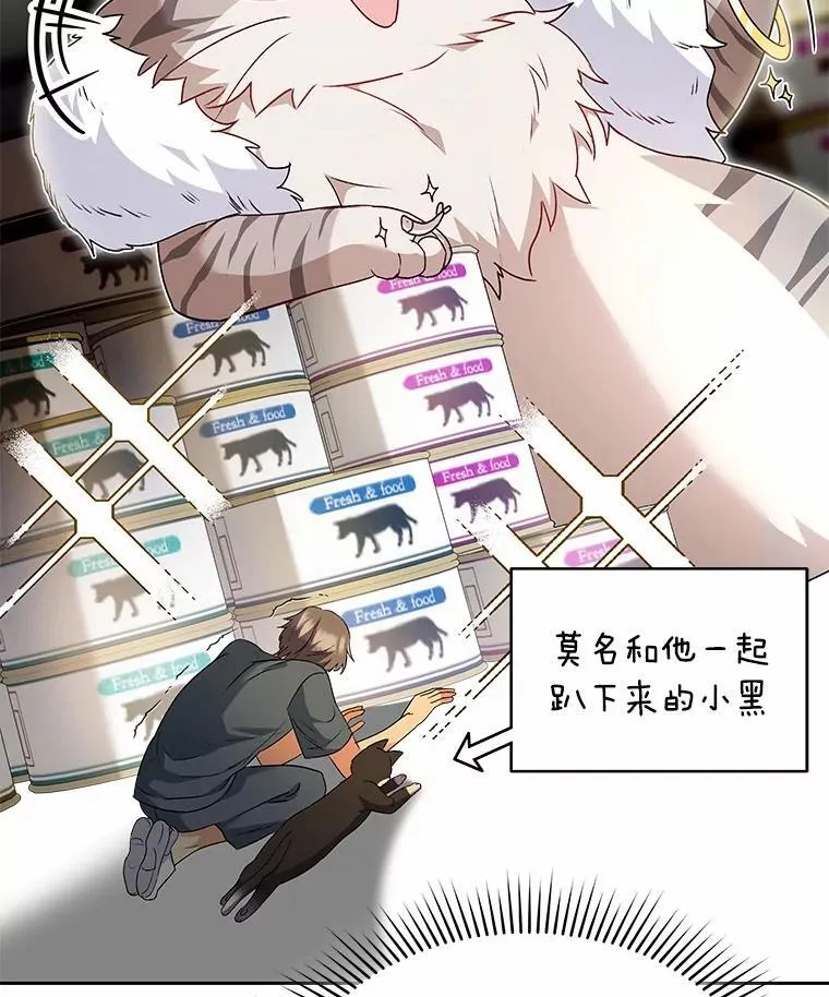 52.斯巴达特训19
