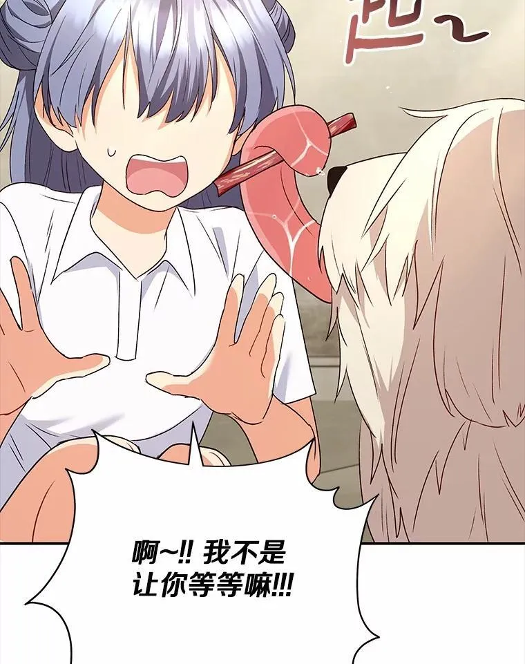 56.你好？兽医先生！7