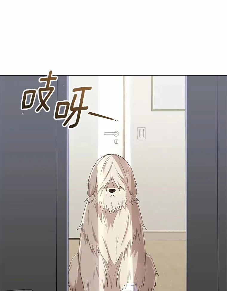 56.你好？兽医先生！41