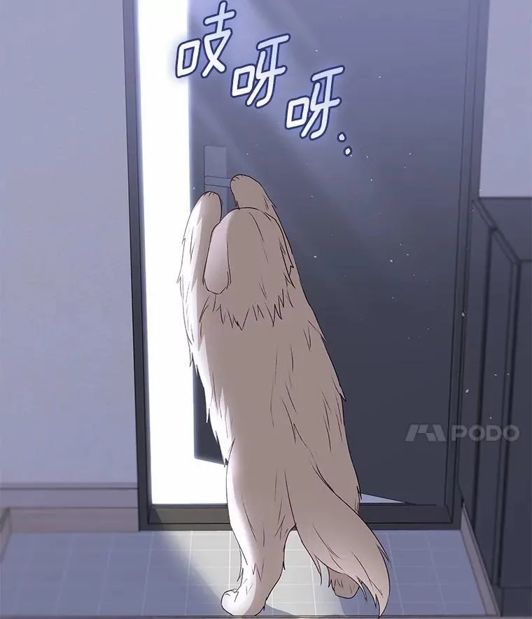 56.你好？兽医先生！136