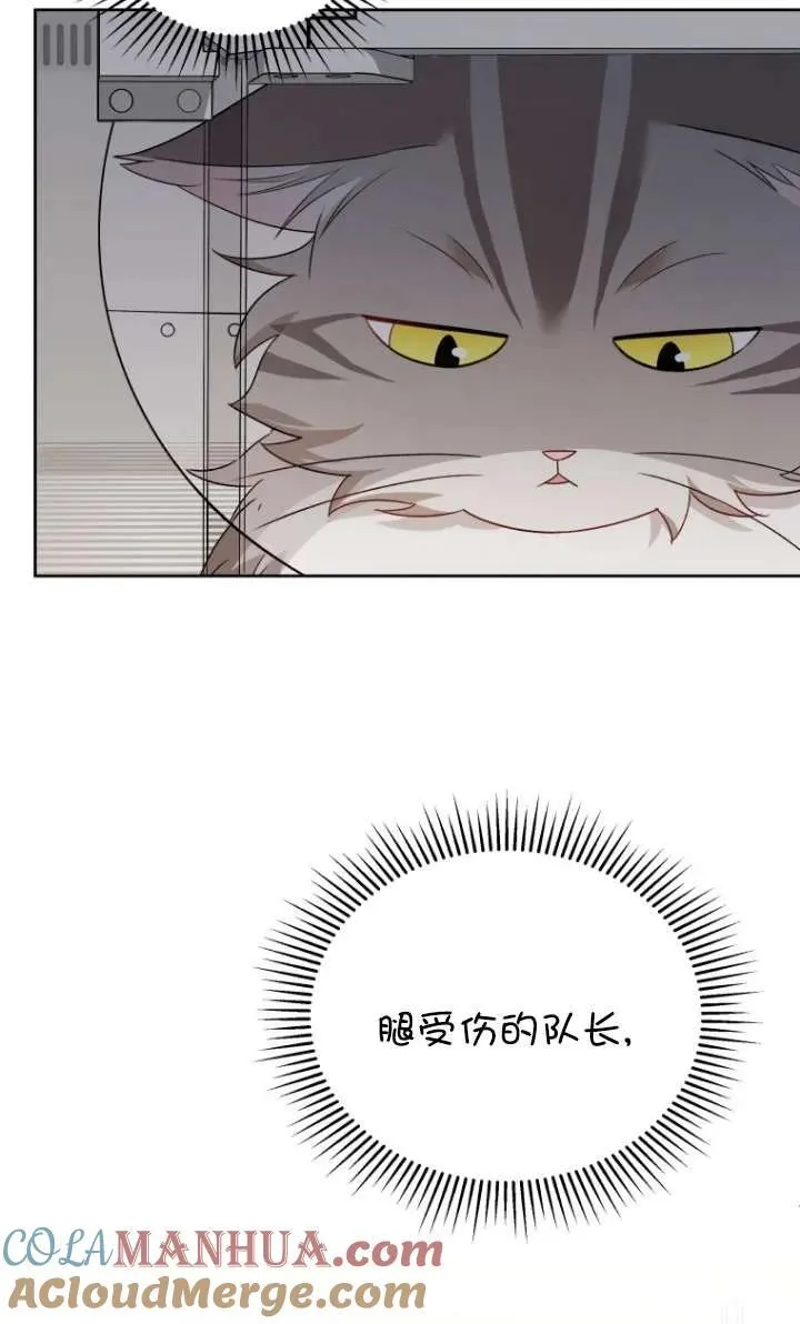 第15话16