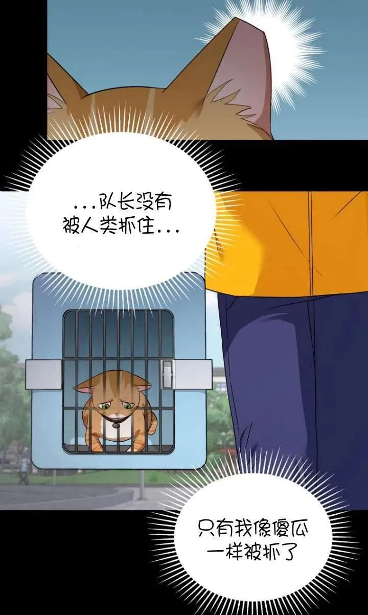 第07话55