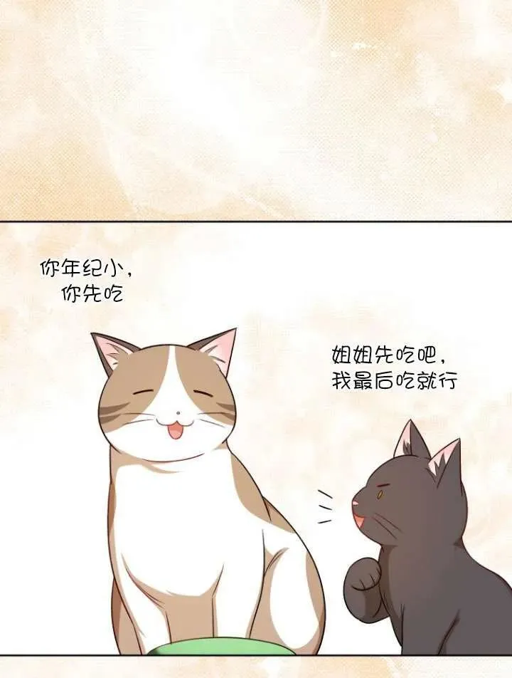 第21话74