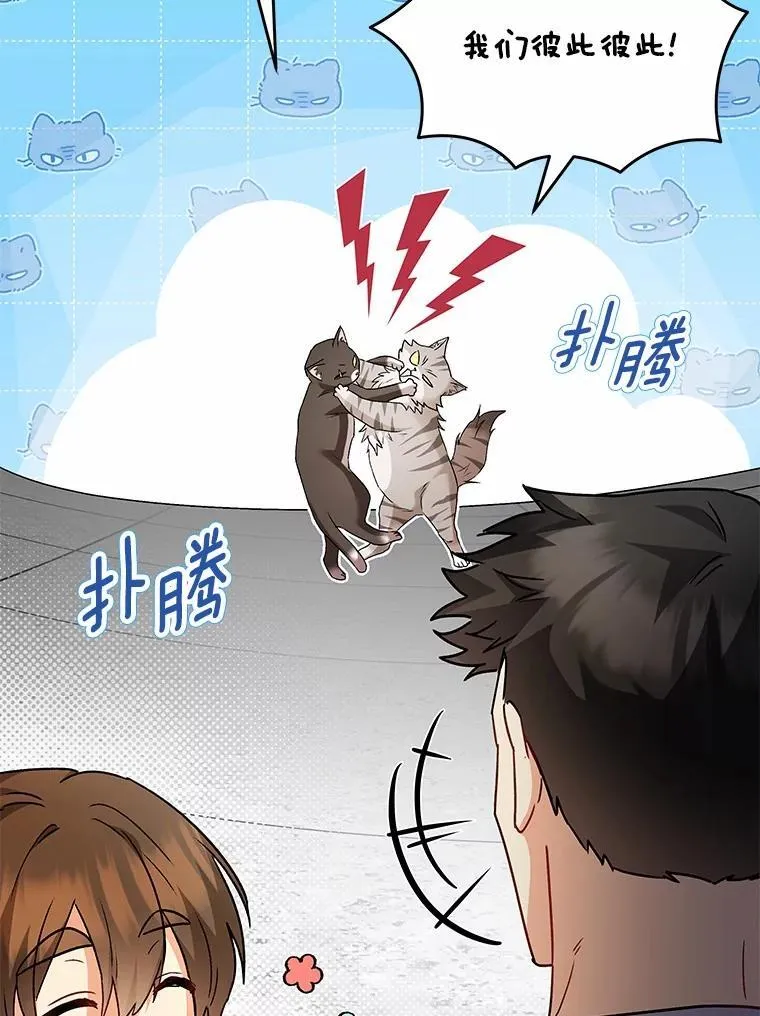 51.我们的新家39
