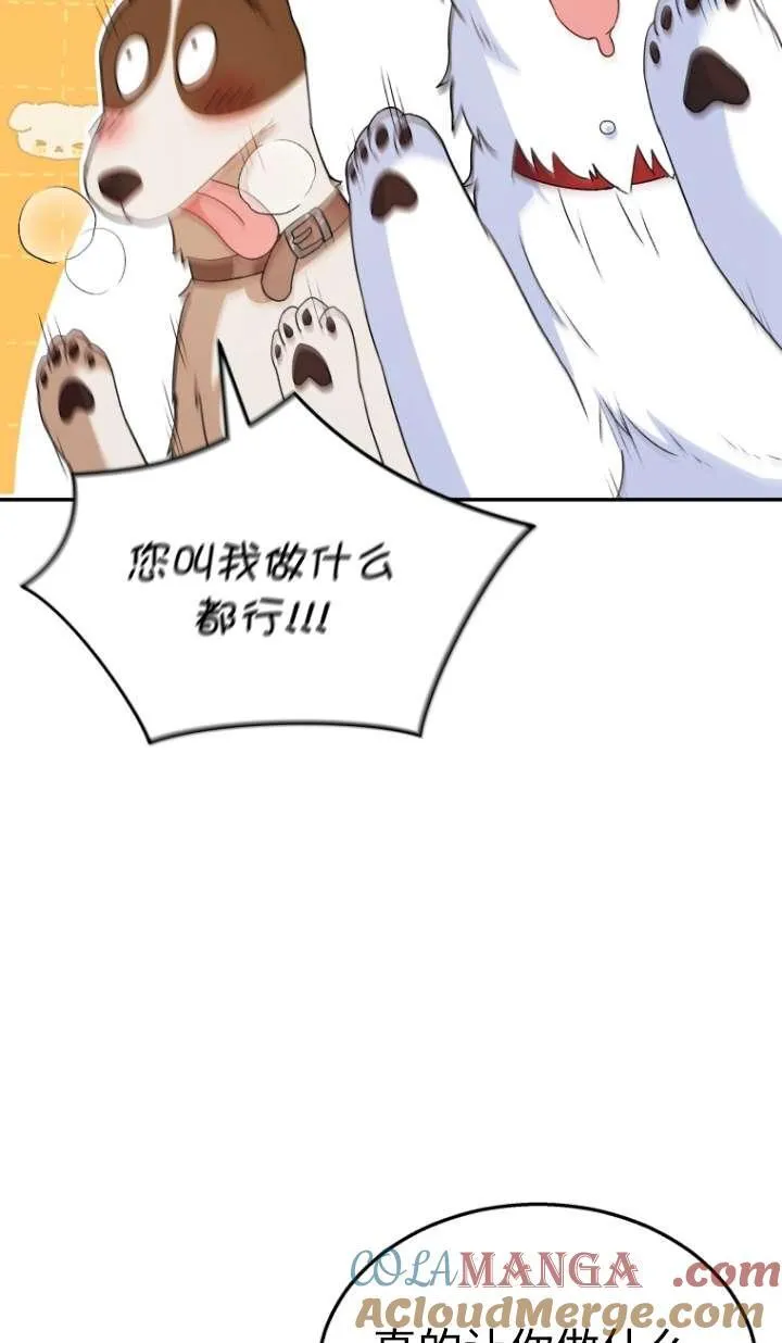 第41话72