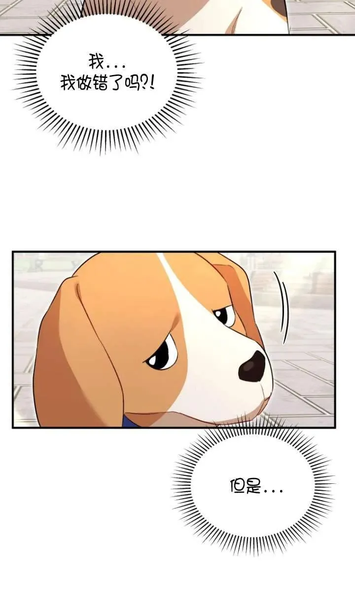 第09话49