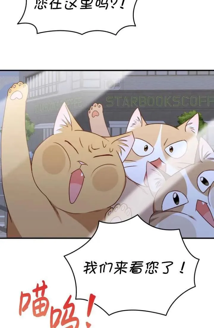 第14话52