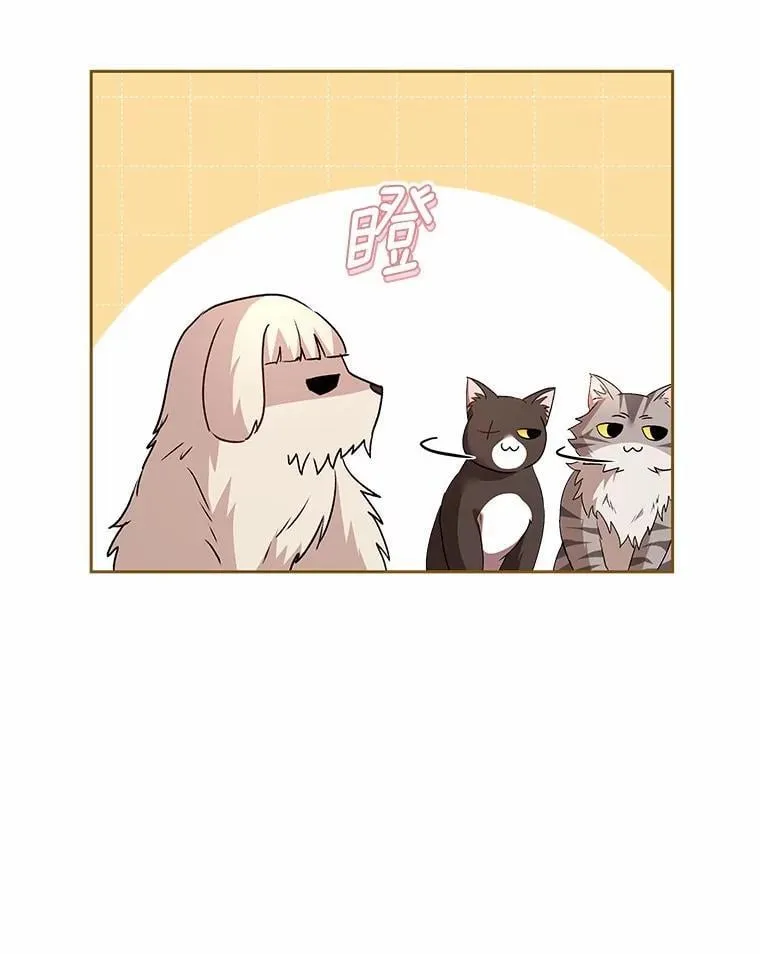 60.我的哥哥（1）11