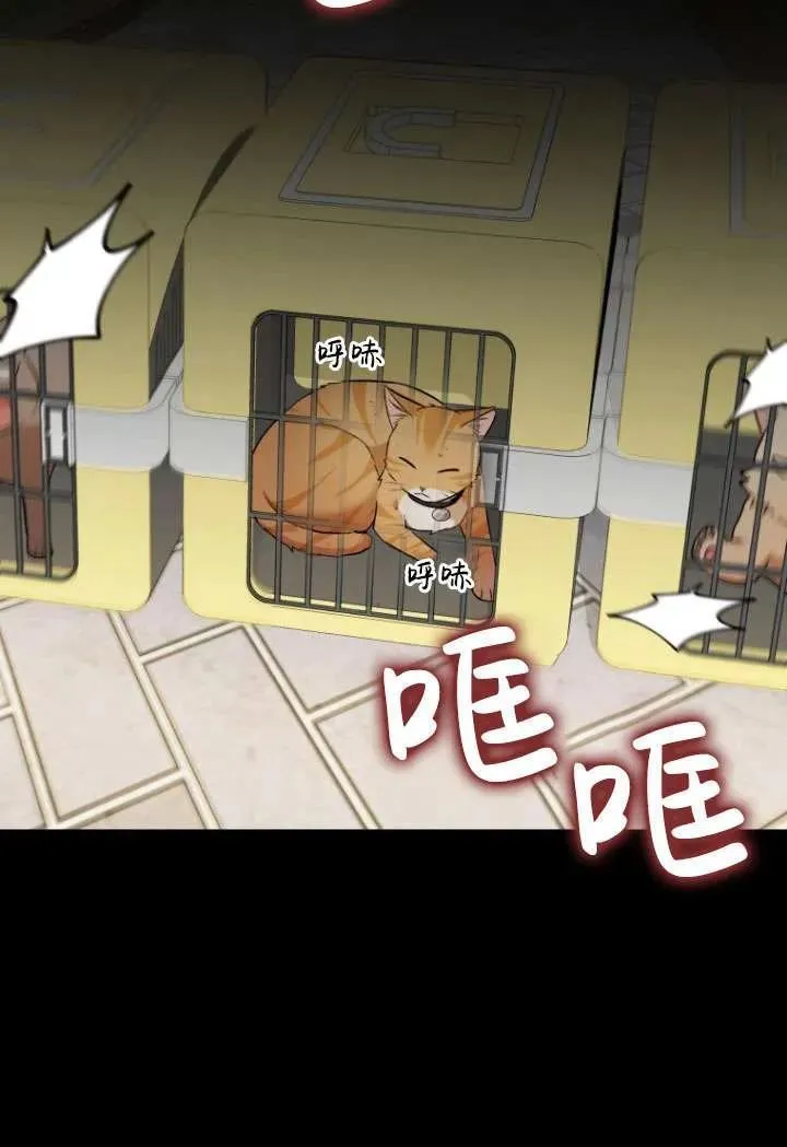 第08话17