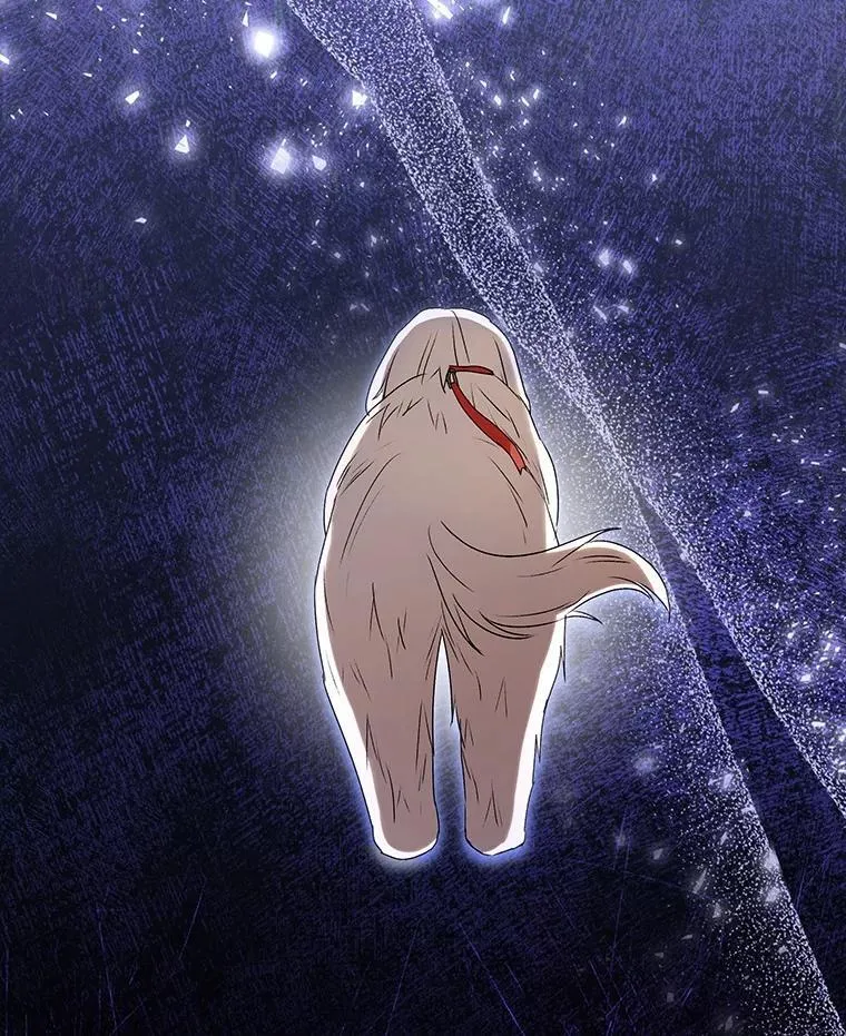 59.我们回家吧50