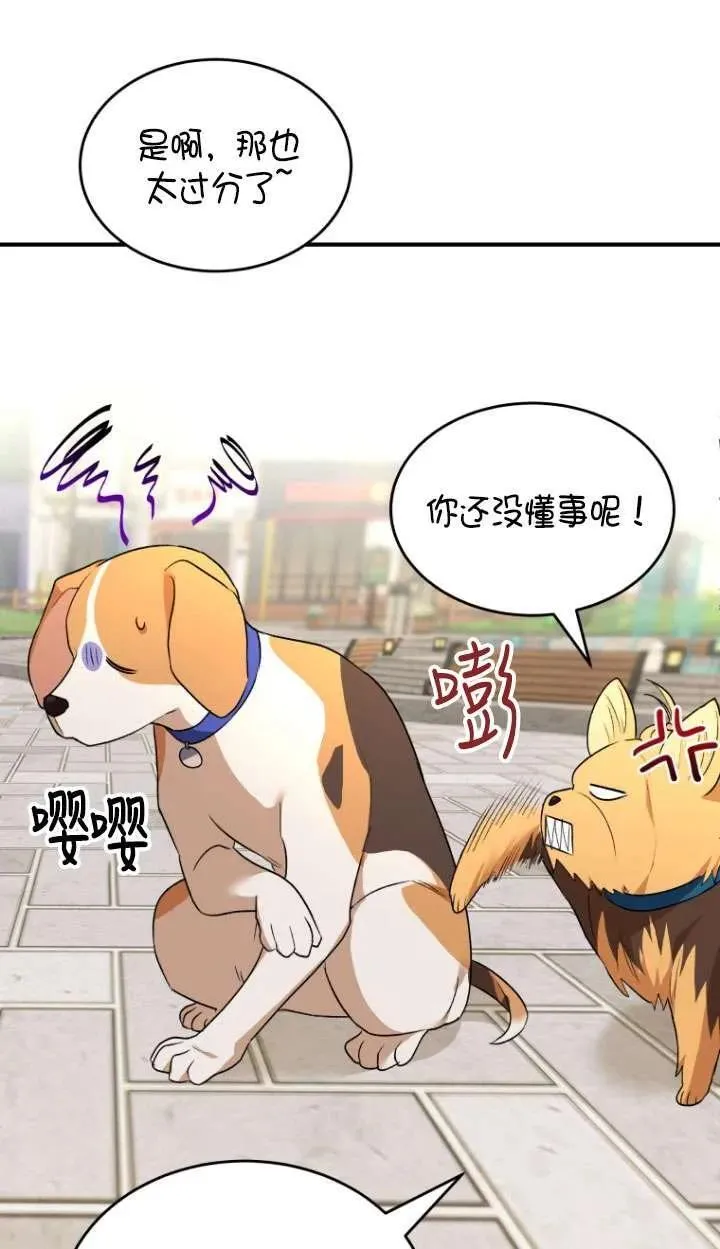 第09话47
