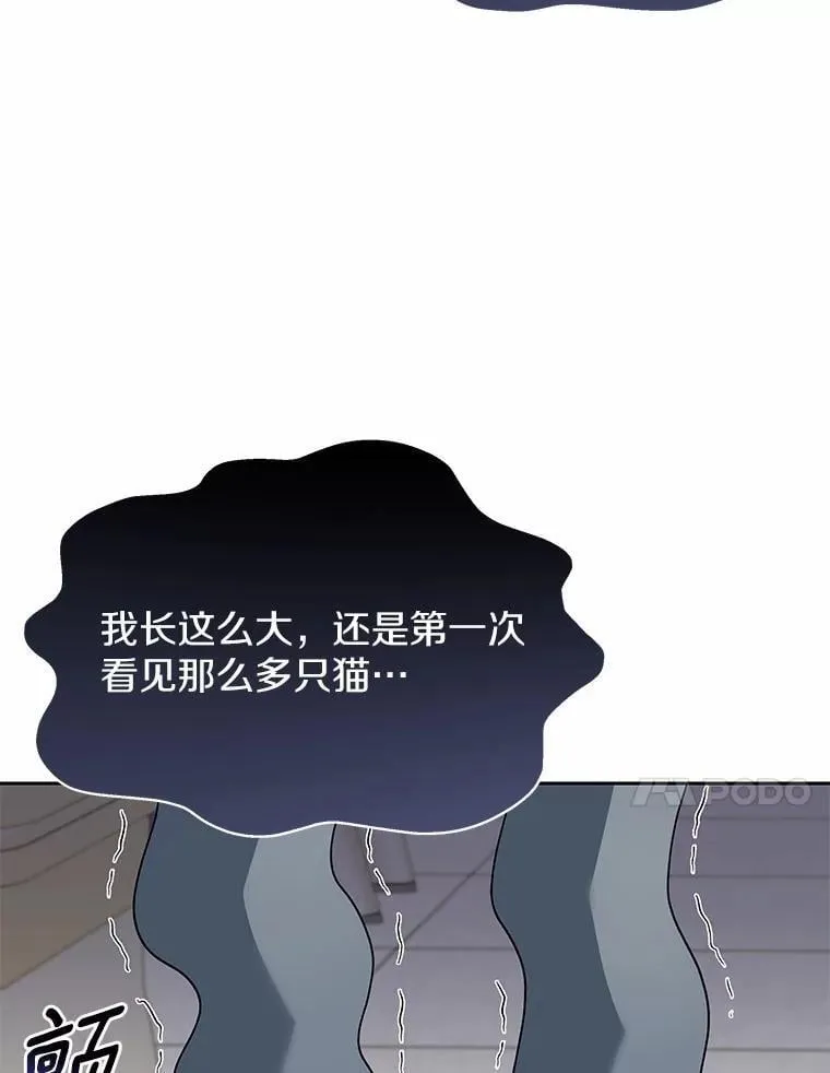 52.斯巴达特训82