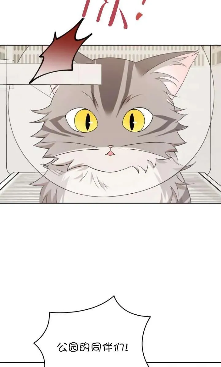 第15话6
