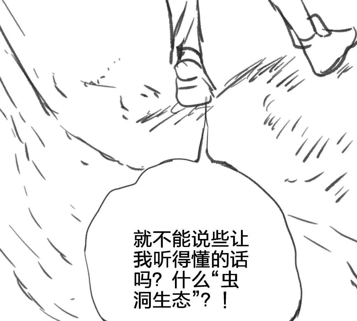 虫洞生态18