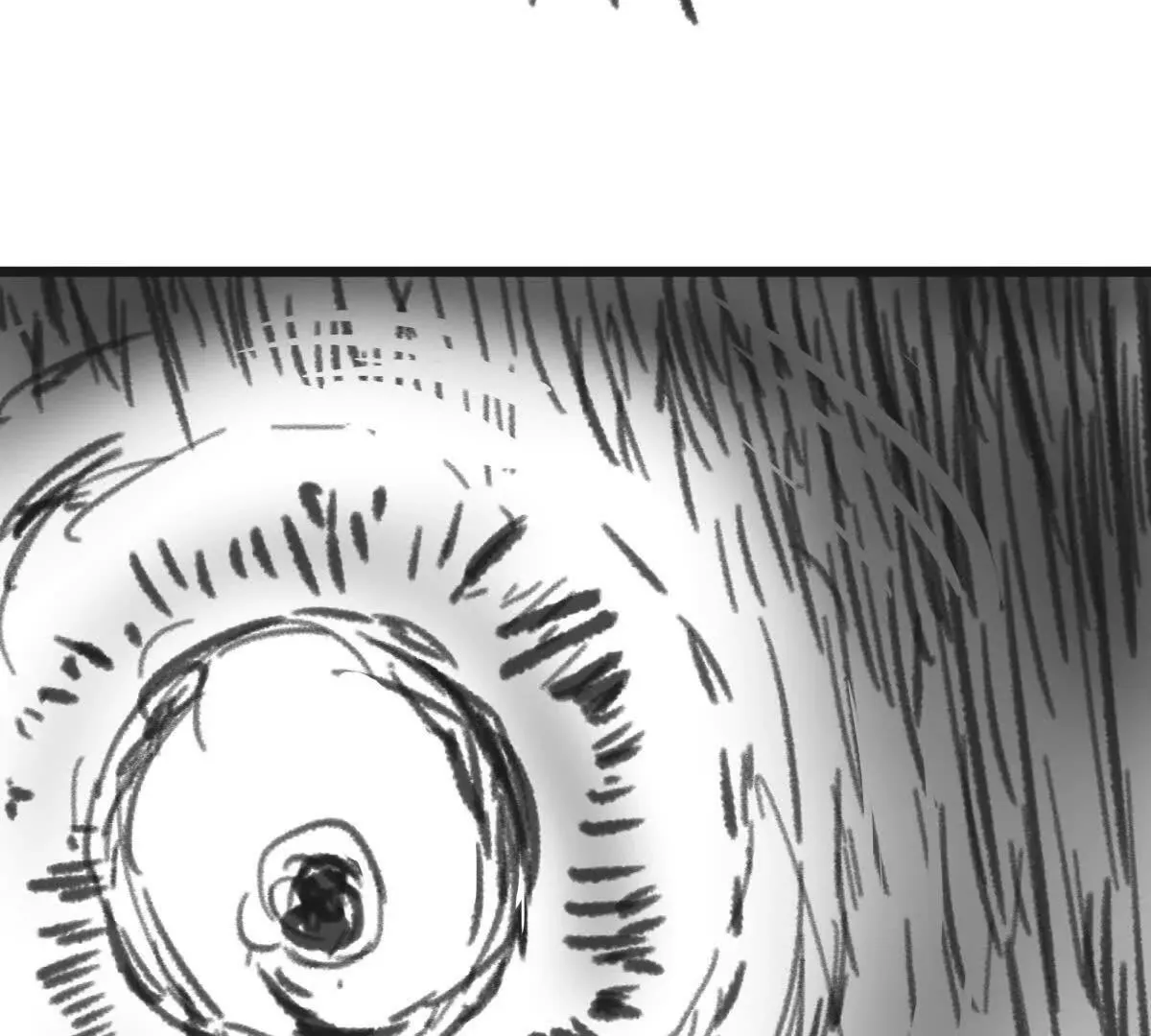圆球65