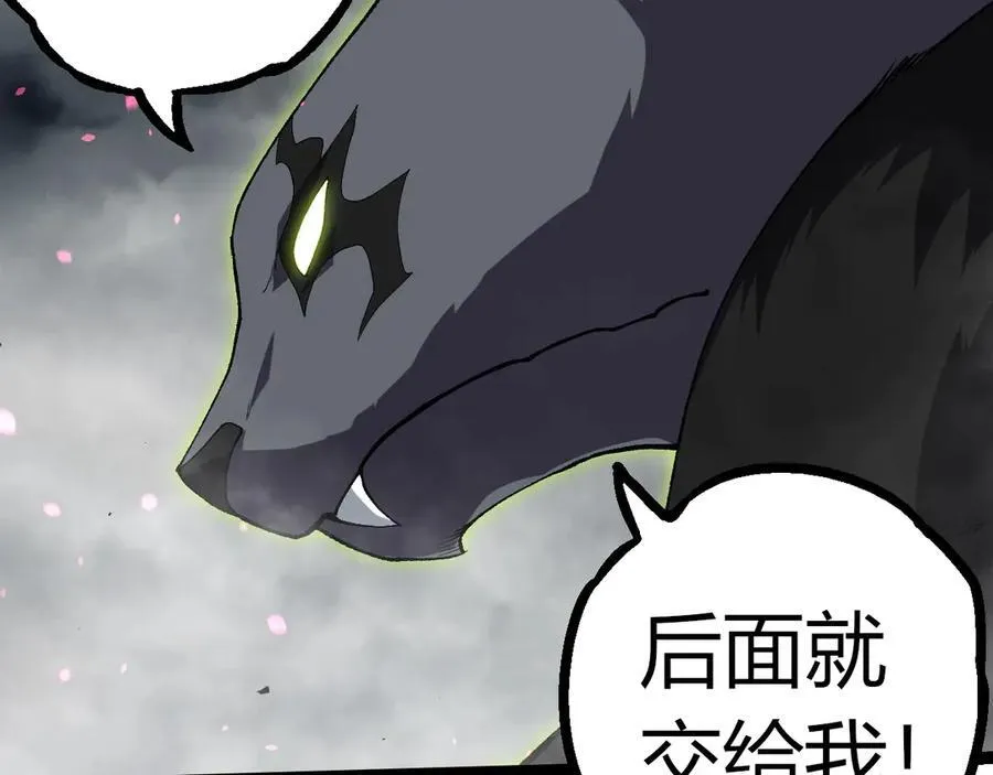 第355话 最强的一只熊猫？38