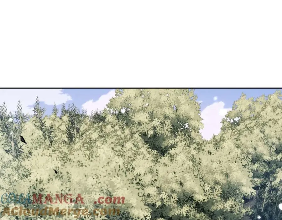第115话 洛姨，你是我亲姨8