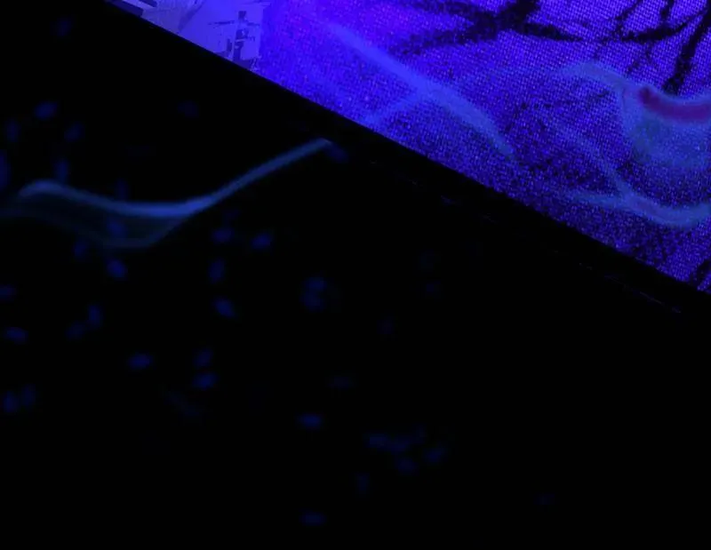 第560话 奇怪的晋升43
