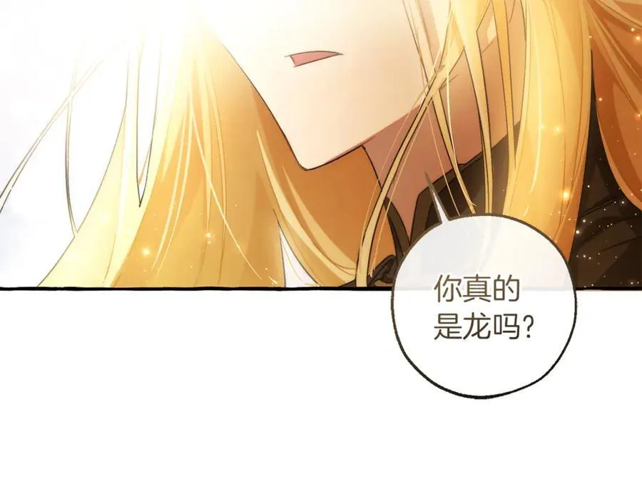 第143话 美丽的黄金龙206