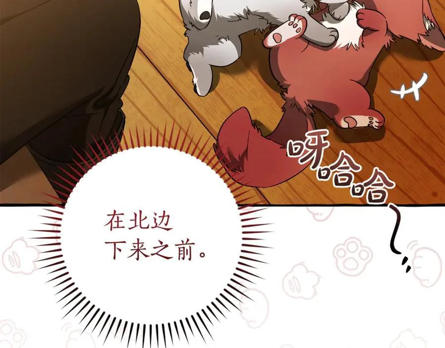 第143话 美丽的黄金龙146