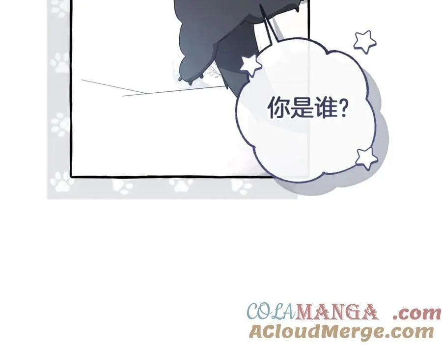 第143话 美丽的黄金龙204