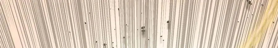 205 万不得已的决定47