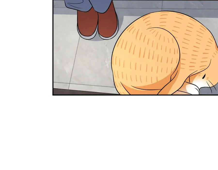 36831