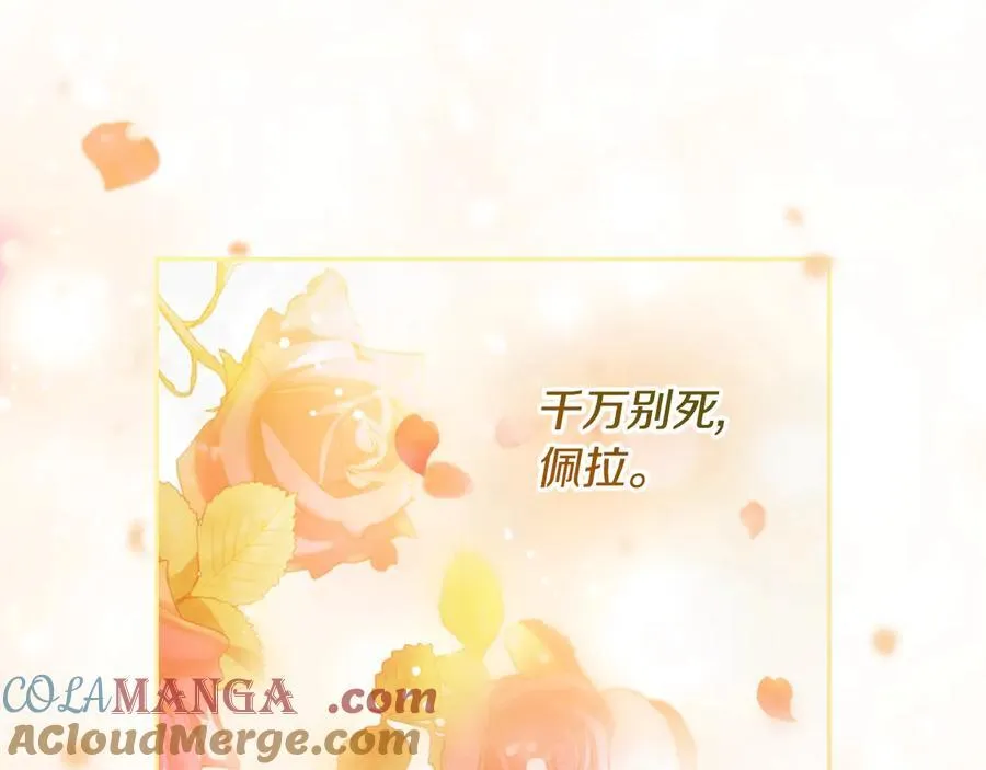 第164话 蓄意谋杀？36