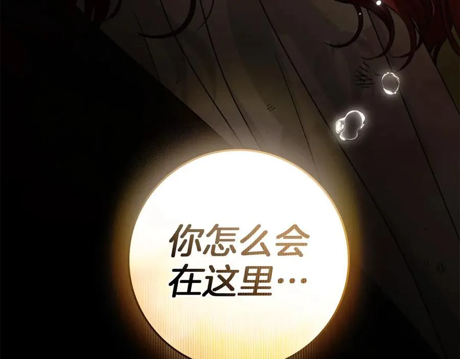 第四季完结话 让我看看你的脸230