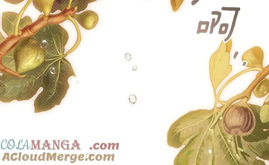 第四季完结话 让我看看你的脸152