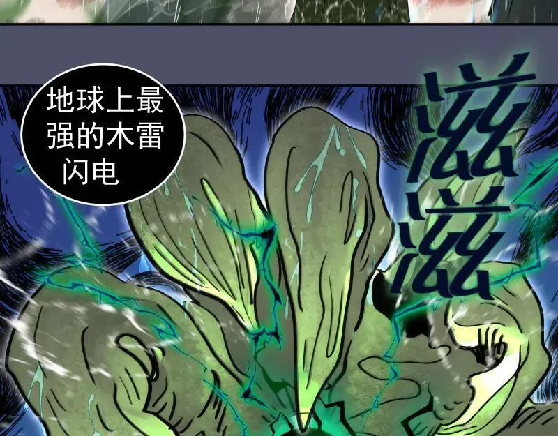 第322话 最强木雷62