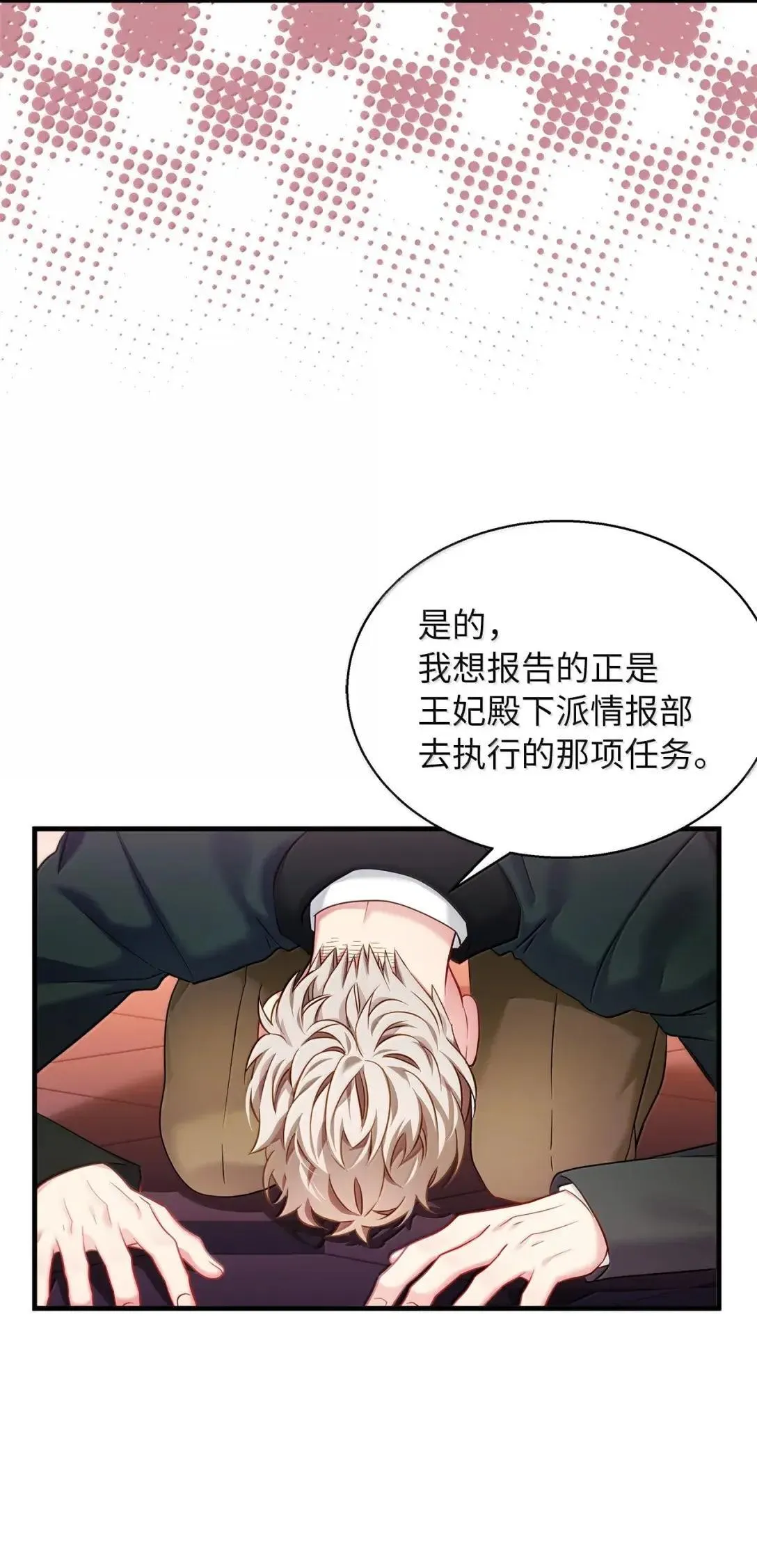 138 猫咪的情报68