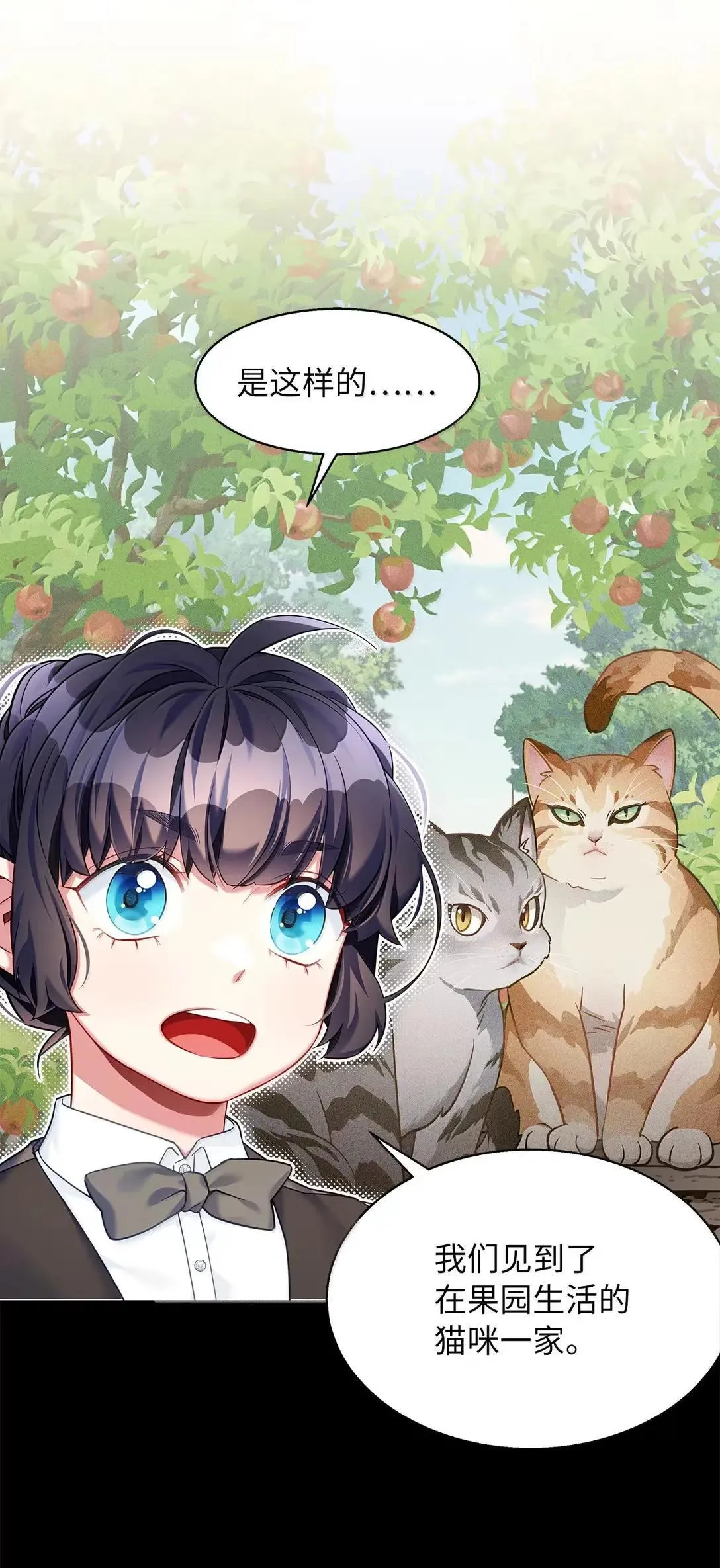 138 猫咪的情报14