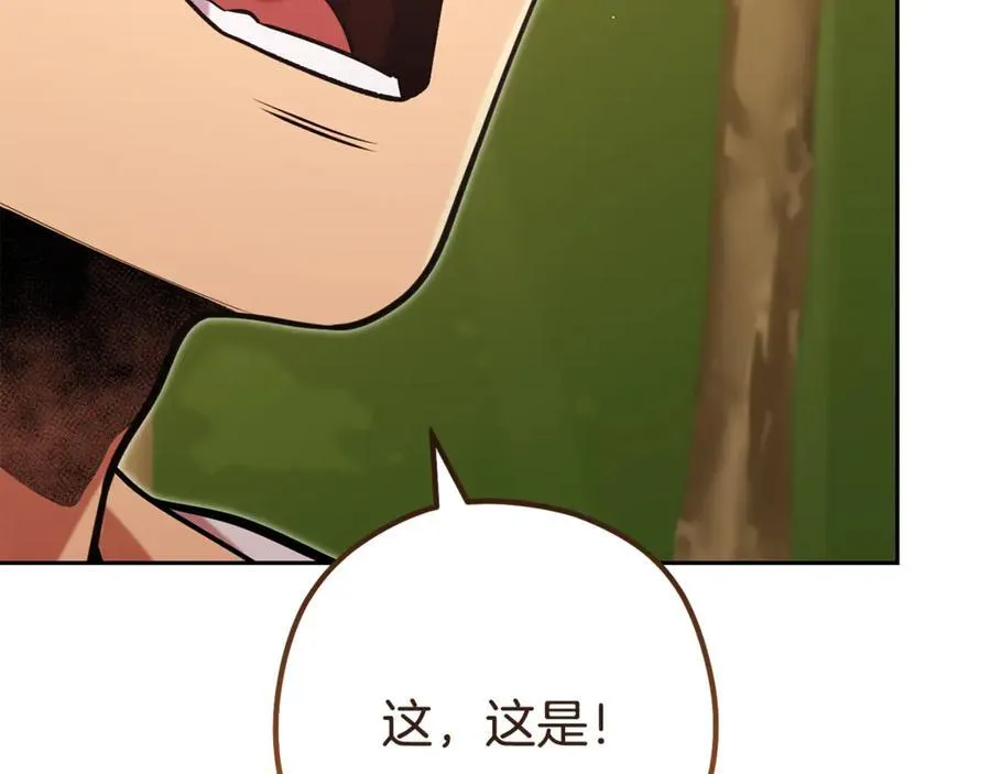 第232话 女巫的日记本235