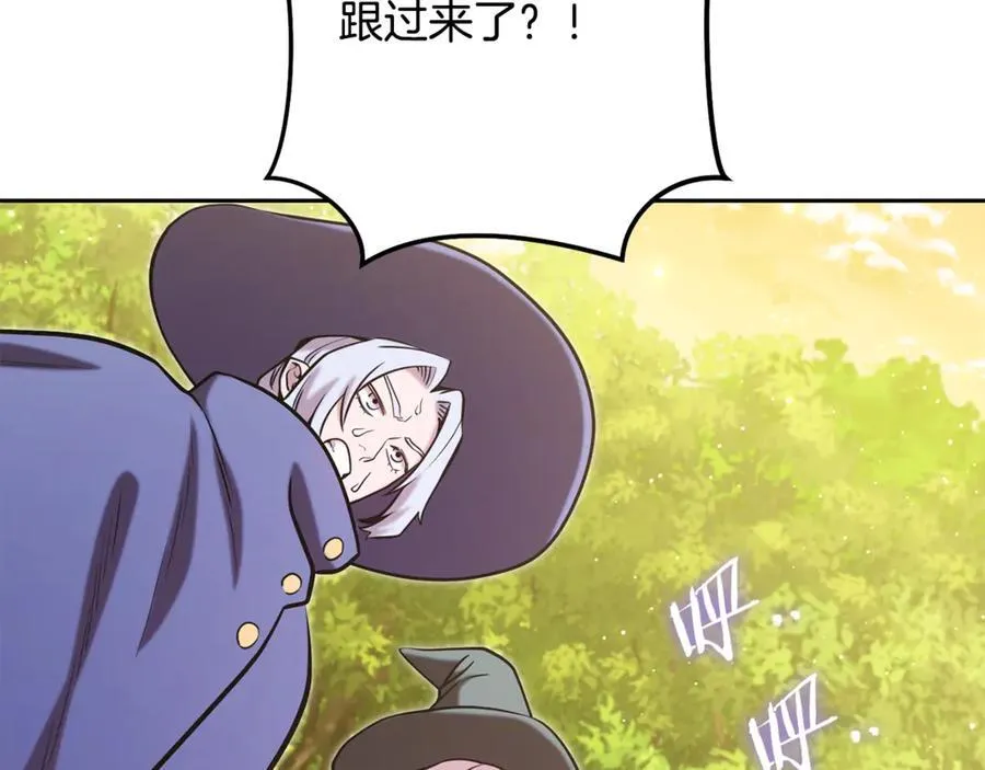 第234话 实施计划159