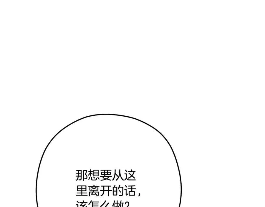 第234话 实施计划142