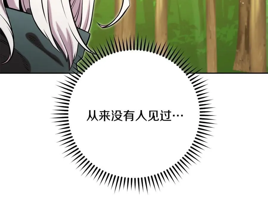 第234话 实施计划254
