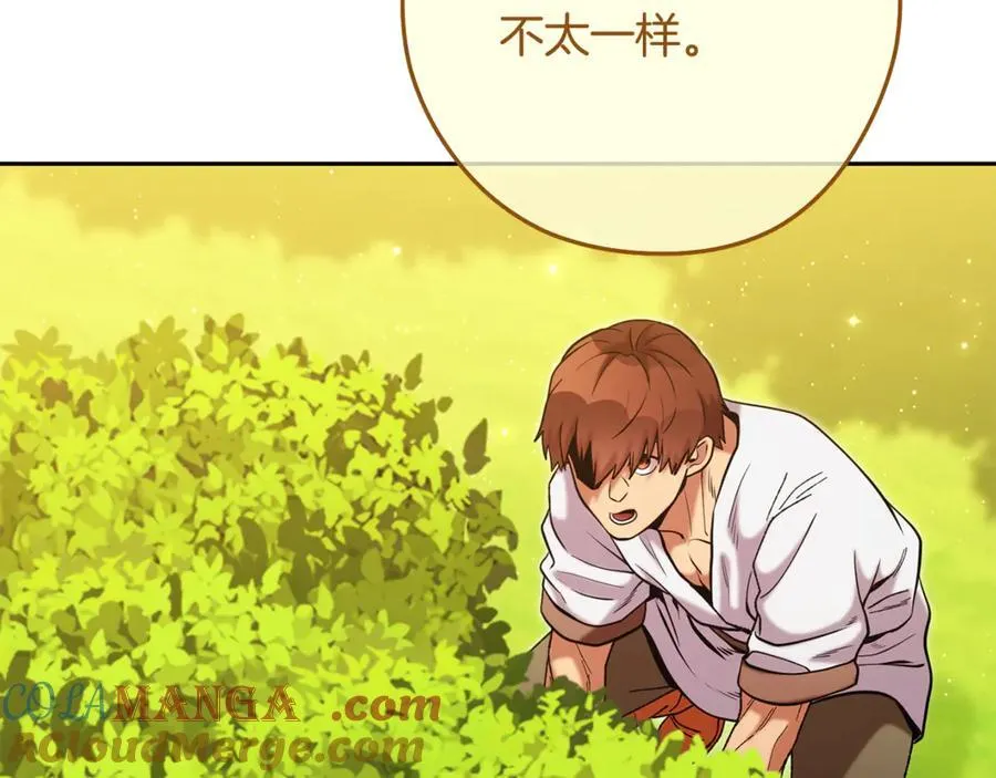 第230话 过去的片段40