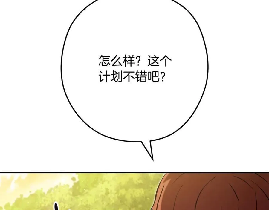 第234话 实施计划229