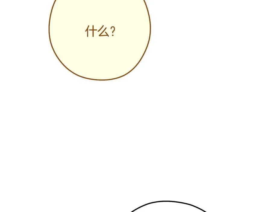 第234话 实施计划118