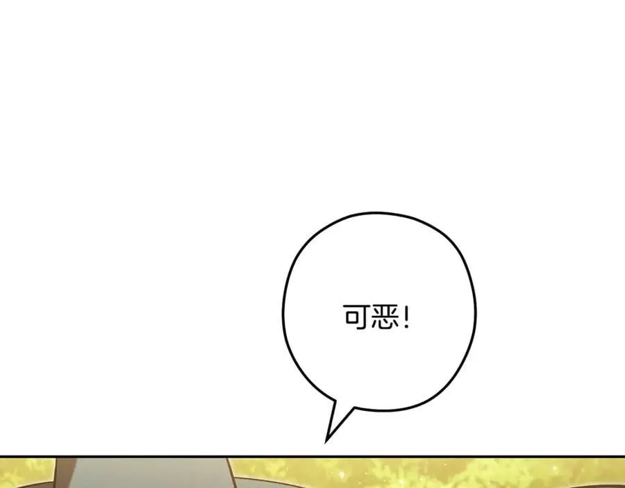 第234话 实施计划205