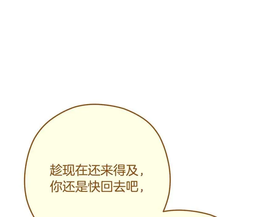 第234话 实施计划146