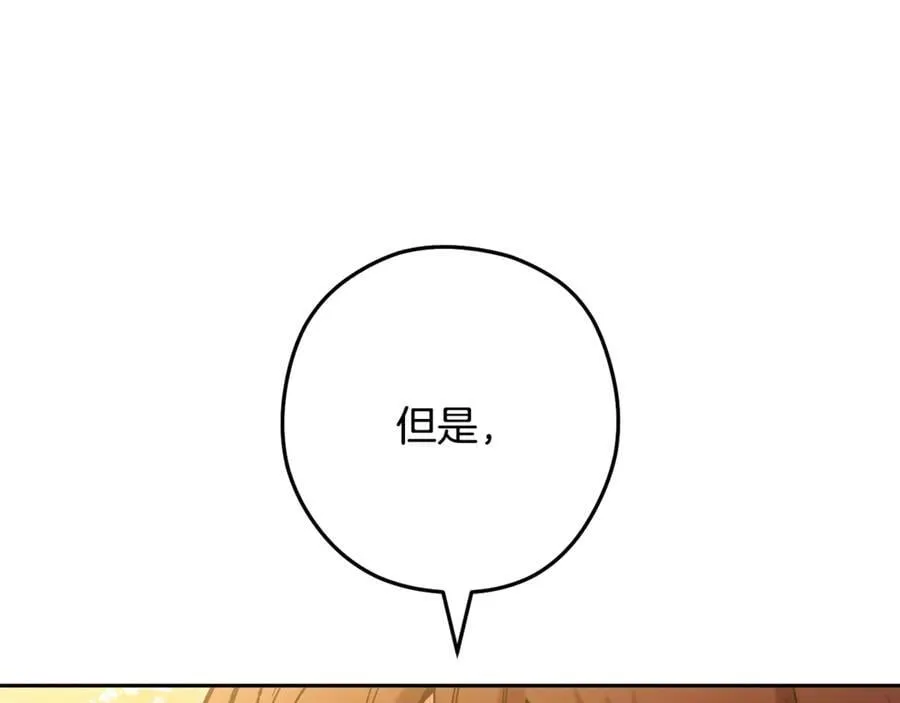 第234话 实施计划242