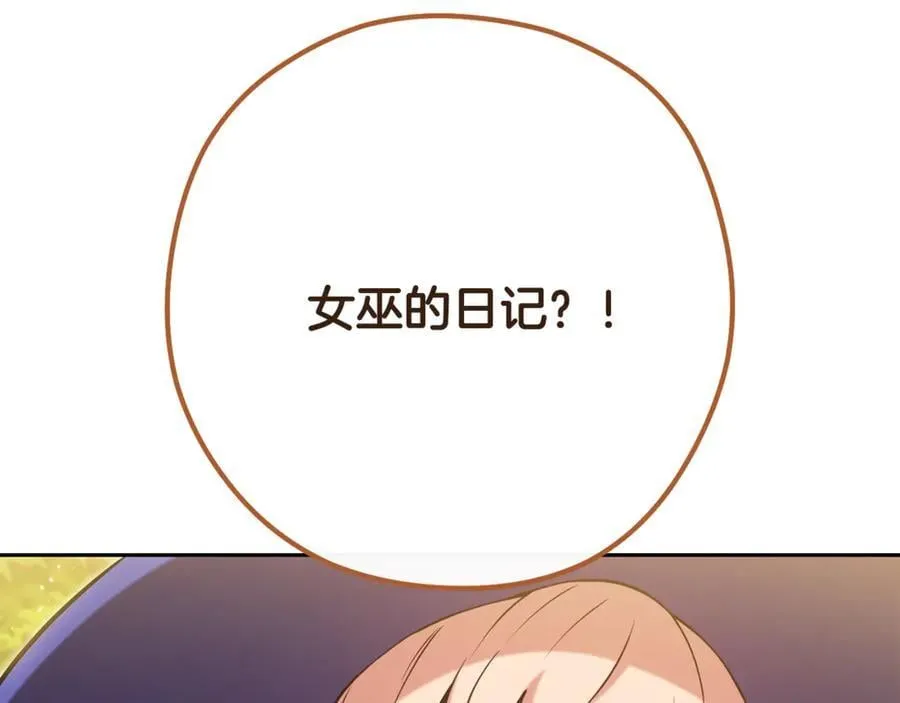 第232话 女巫的日记本237