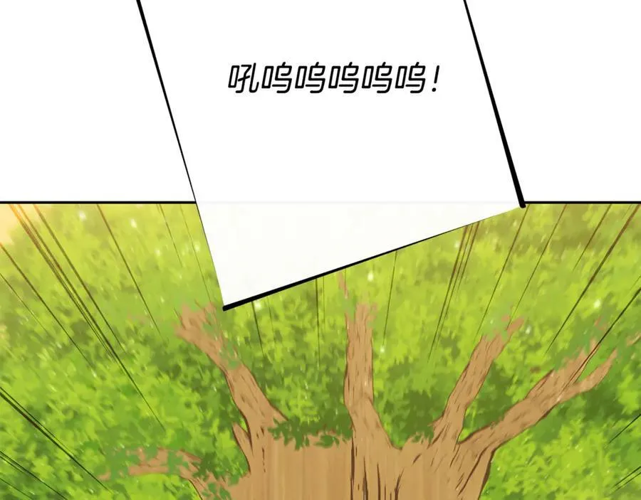 第234话 实施计划271
