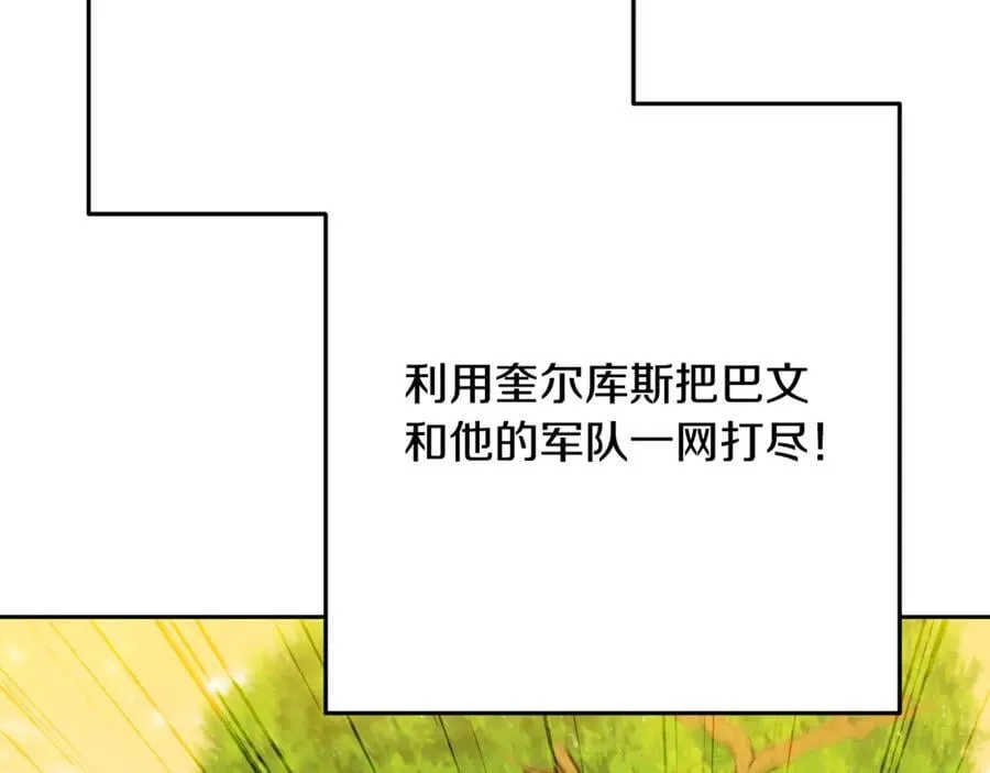 第234话 实施计划225