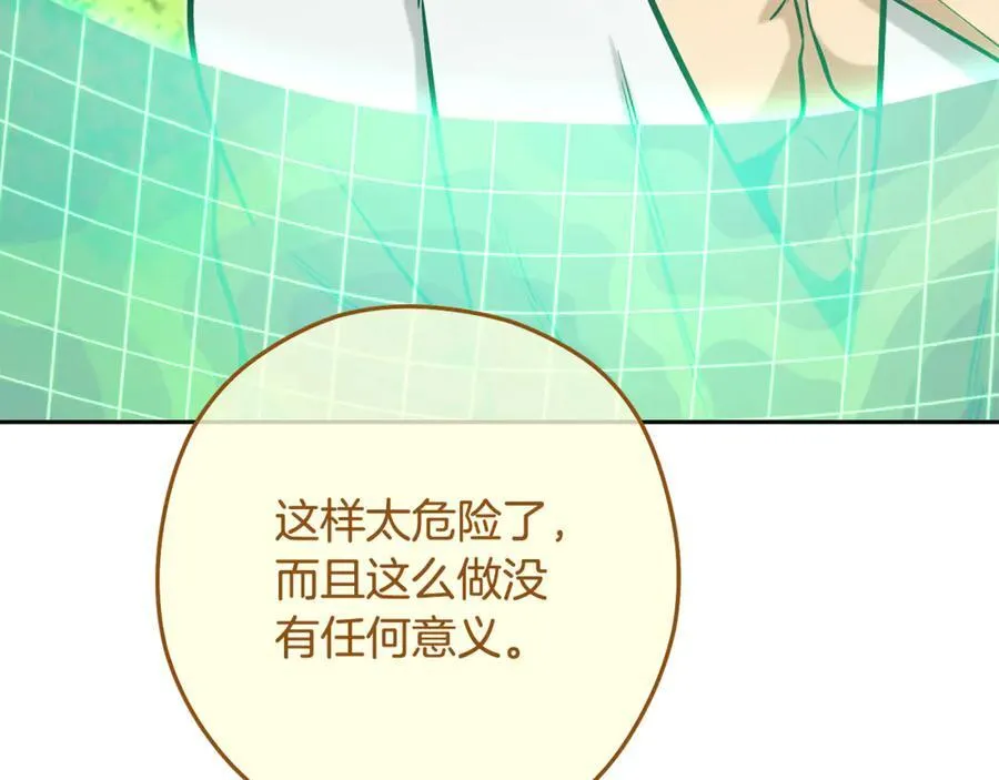 第234话 实施计划58