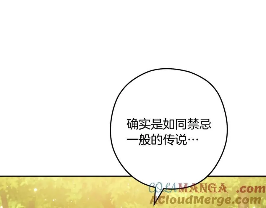 第234话 实施计划236